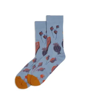 Arabesque Graine Socks