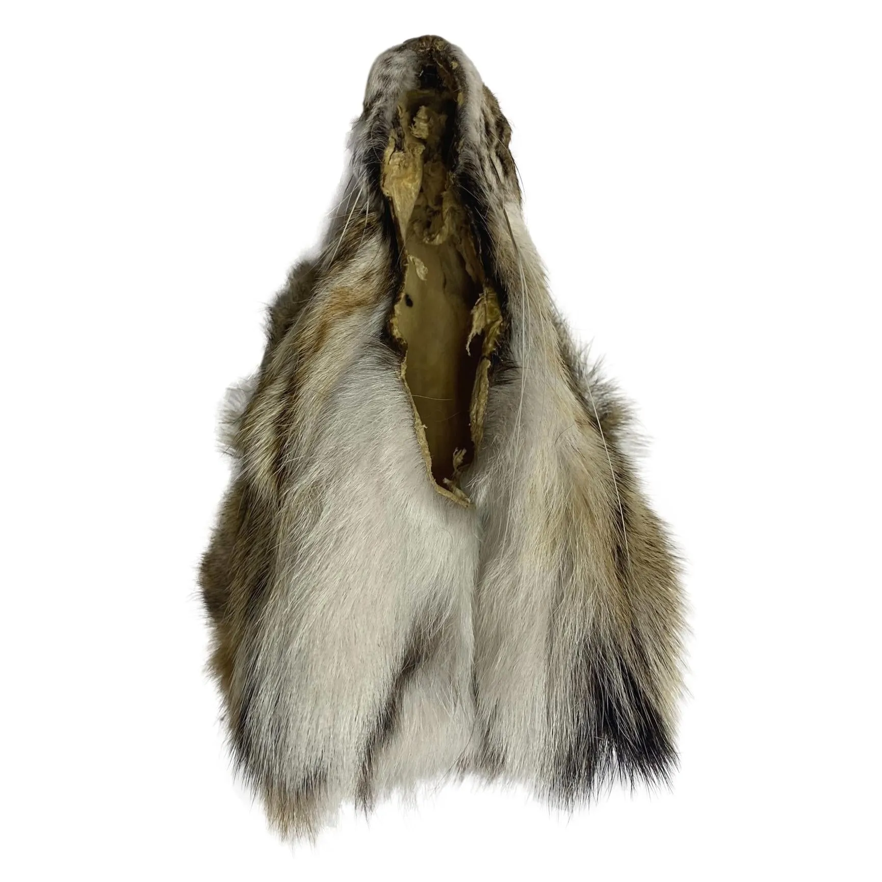 Authentic Lynx Face - Genuine Fur Animal Face for Crafts and Costumes