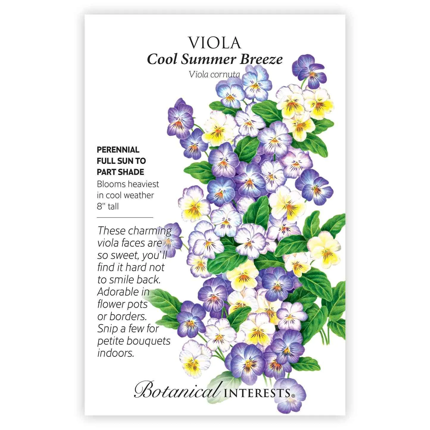 Cool Summer Breeze Viola Seeds