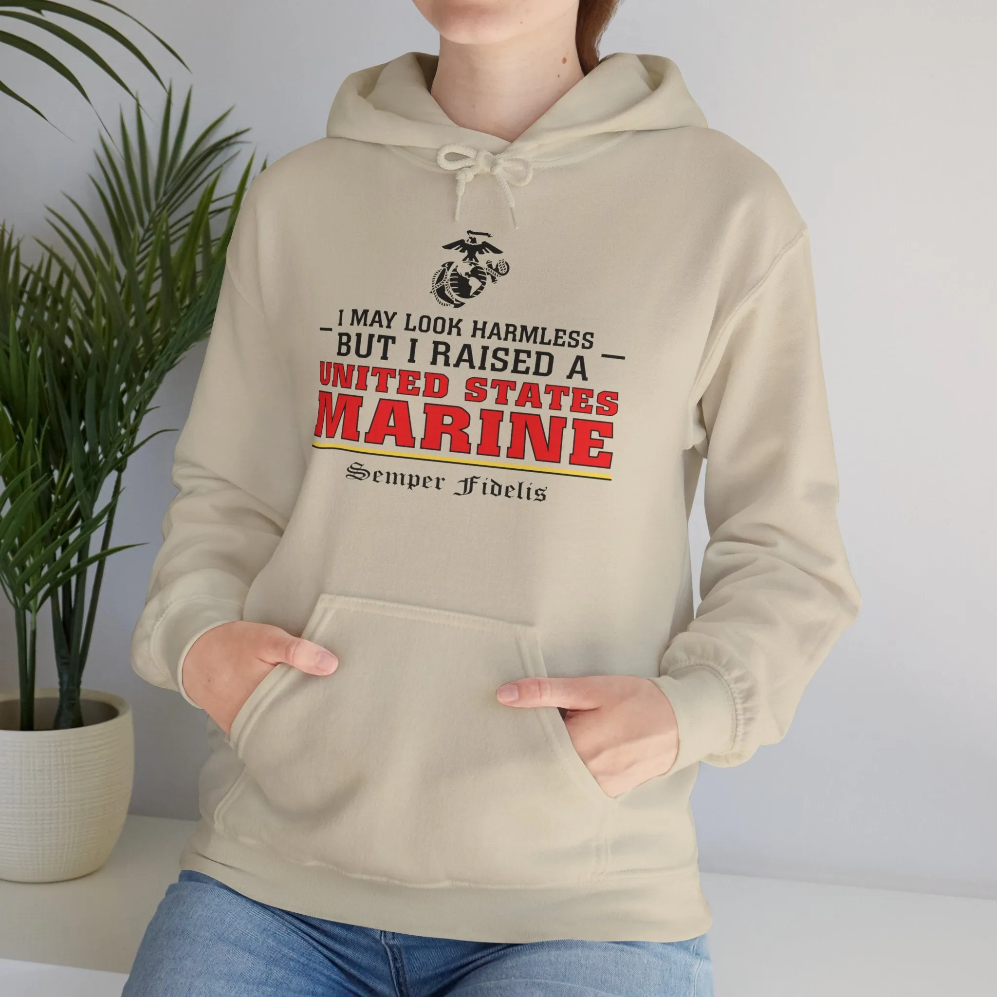 Hoodie: I May Look Harmless but I Raised a US Marine