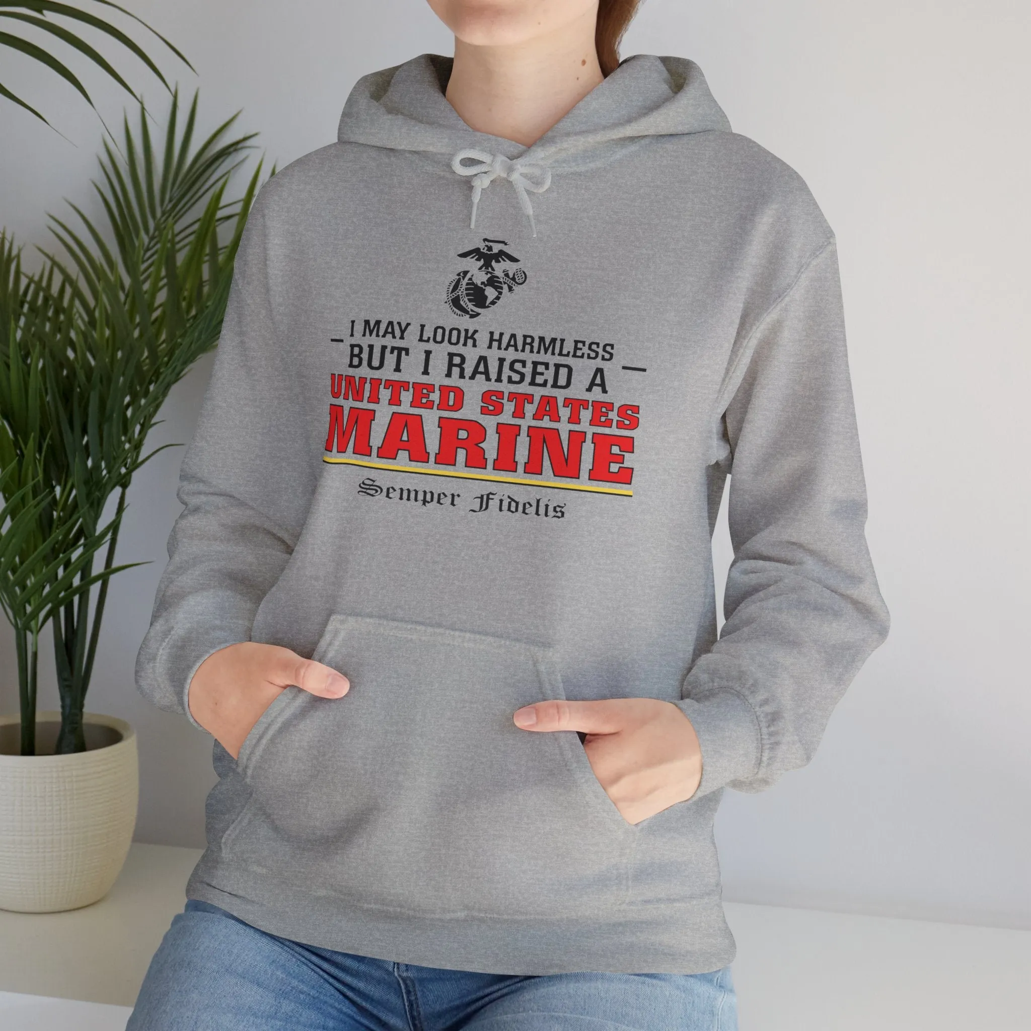 Hoodie: I May Look Harmless but I Raised a US Marine