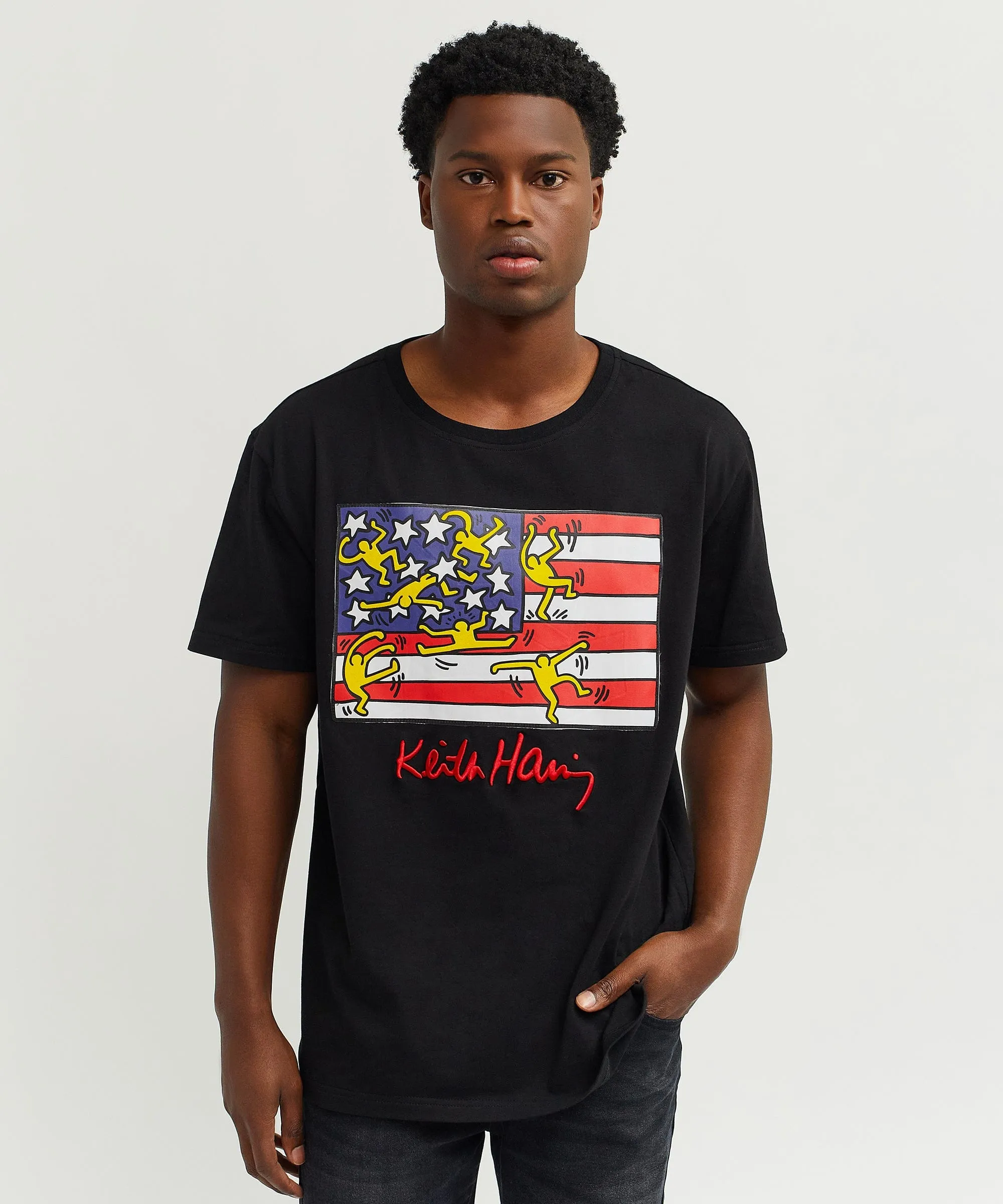 Keith Haring American Flag Embroidered Short Sleeve Tee - Black