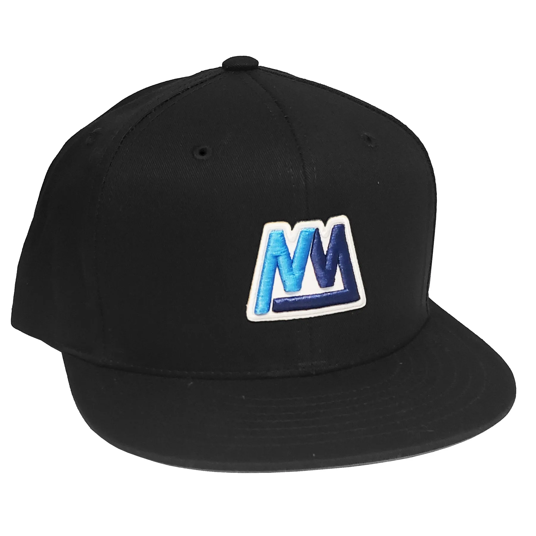 Mass Transit Snapback Hat