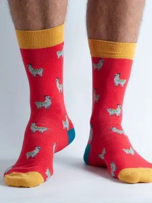 Mens Bambo Socks Doris & Dude Teal/Mustard/Red Lama 7-11UK