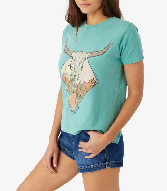 O'NEILL DESERT HORNS SS TSHIRT - CANTON